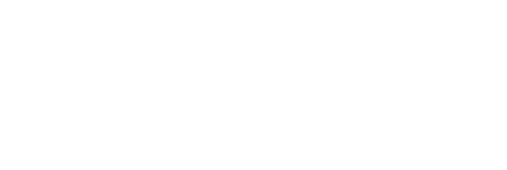 Nerve Smart Systems logo